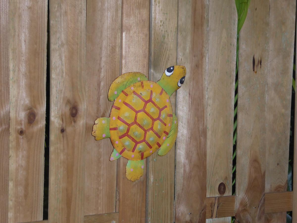Coco Bungalows 圣罗斯 外观 照片